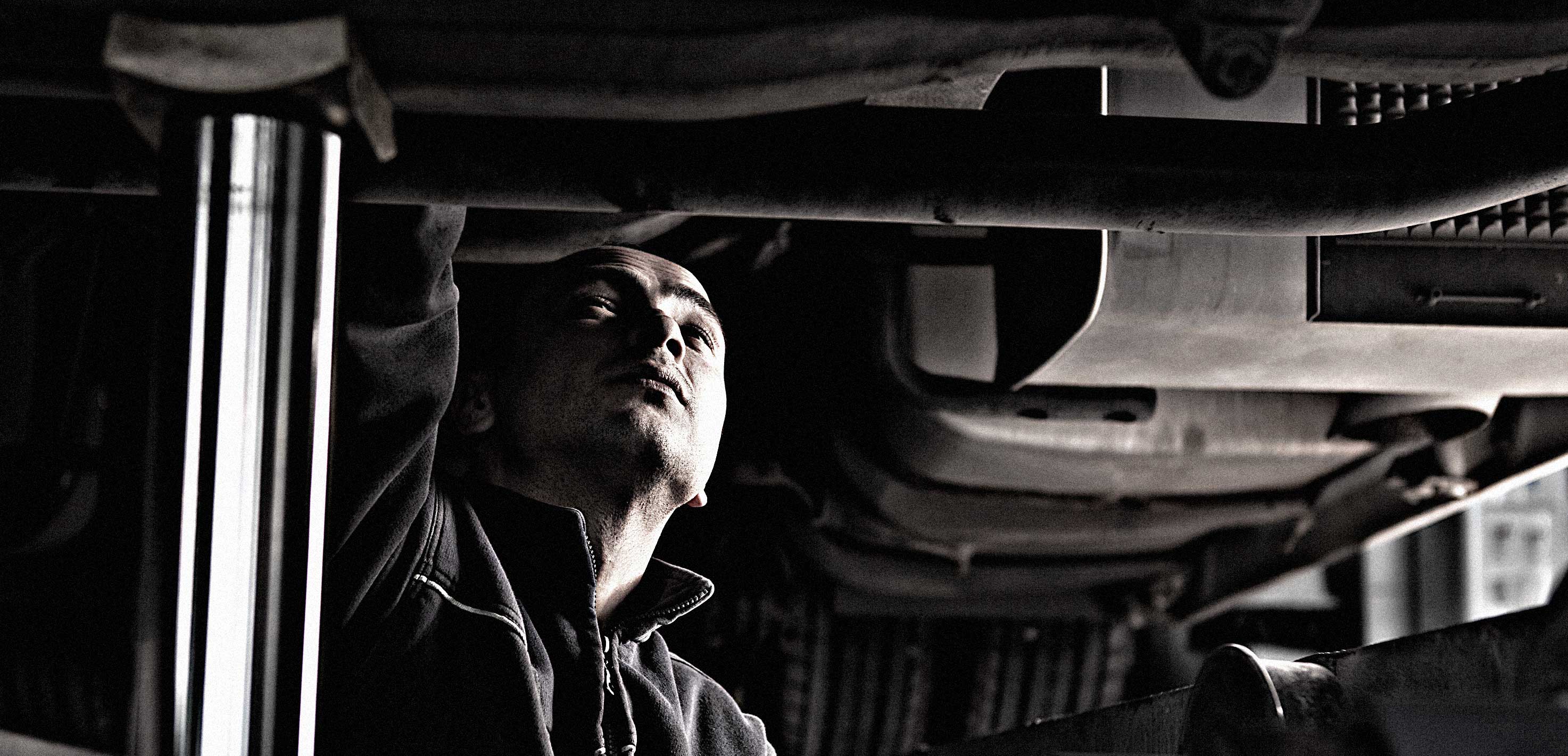 Popular Tools Tiger Tool - Professional 8K Sunset Images | Free Download