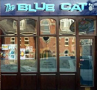 Blue Cat Café