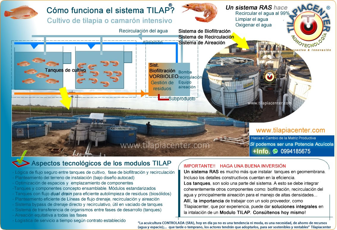 ASi funciona modulo tilmaron cultivo camaron tilapia