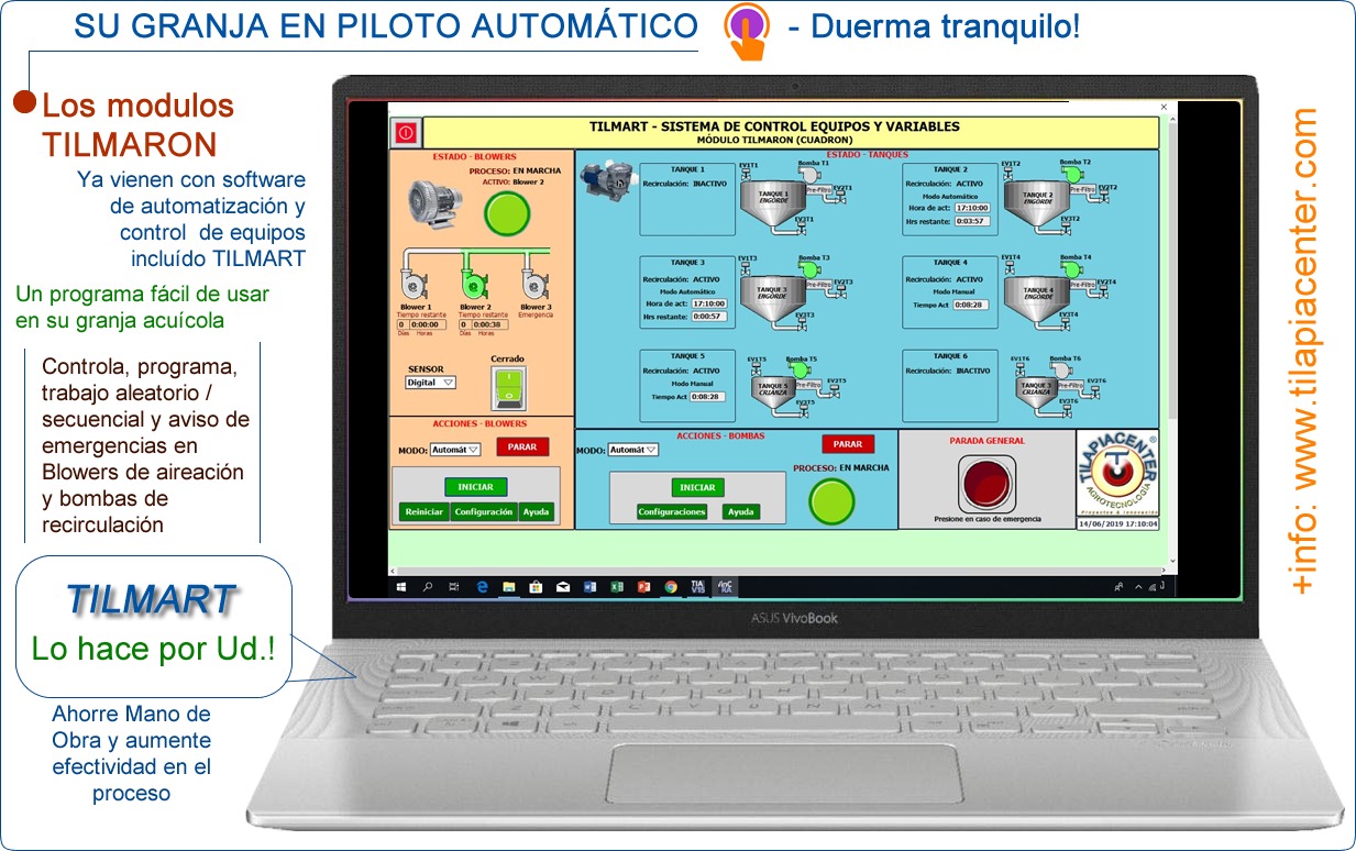 automatización camarón tilapia