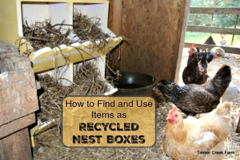 Recycled Nest Boxes Diy Makeover Timber Creek Farm