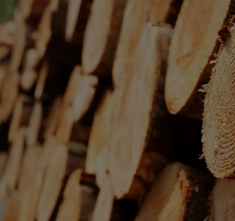 Timbeter Timbeter - Incredible 8K Sunset Designs | Free Download