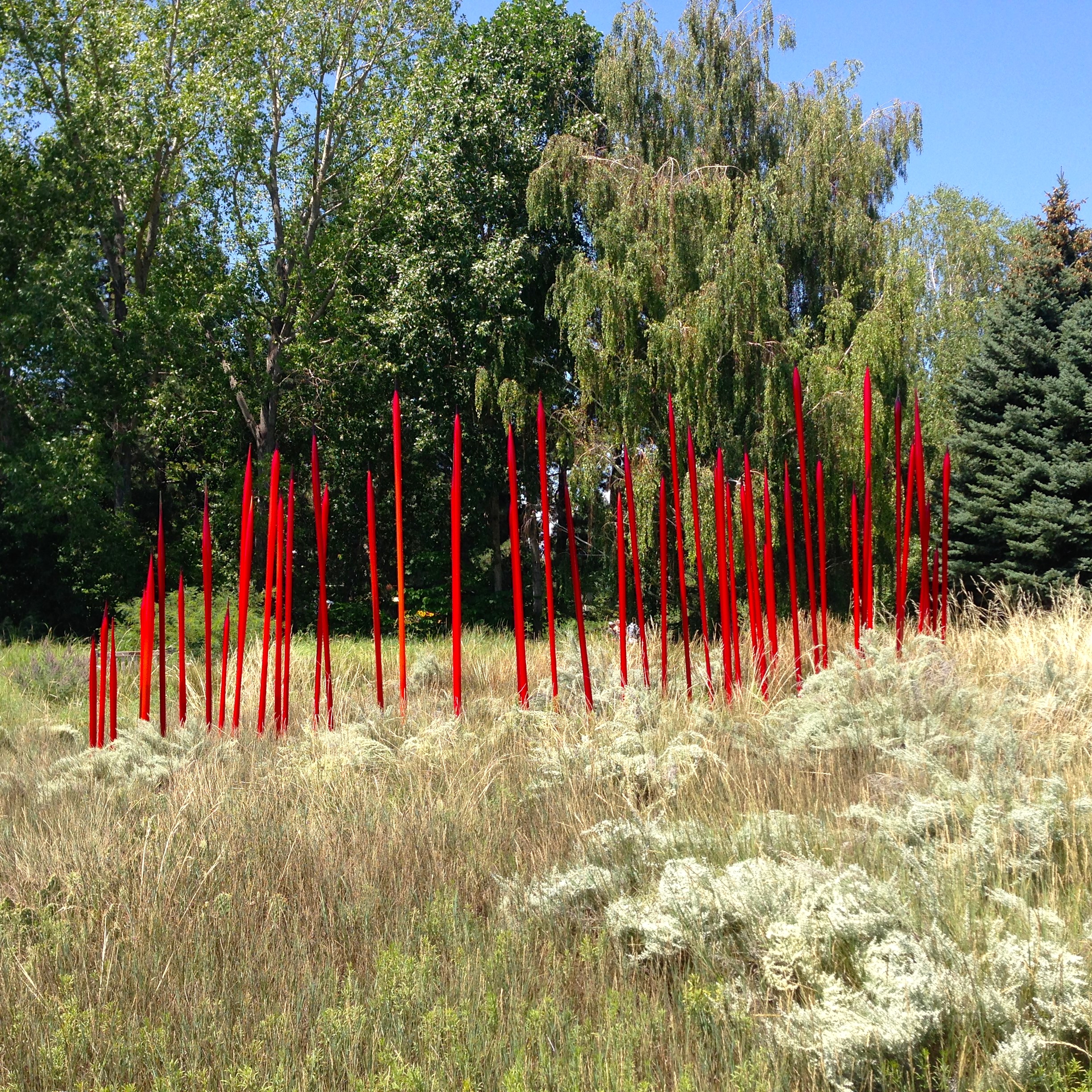 RED REEDS
