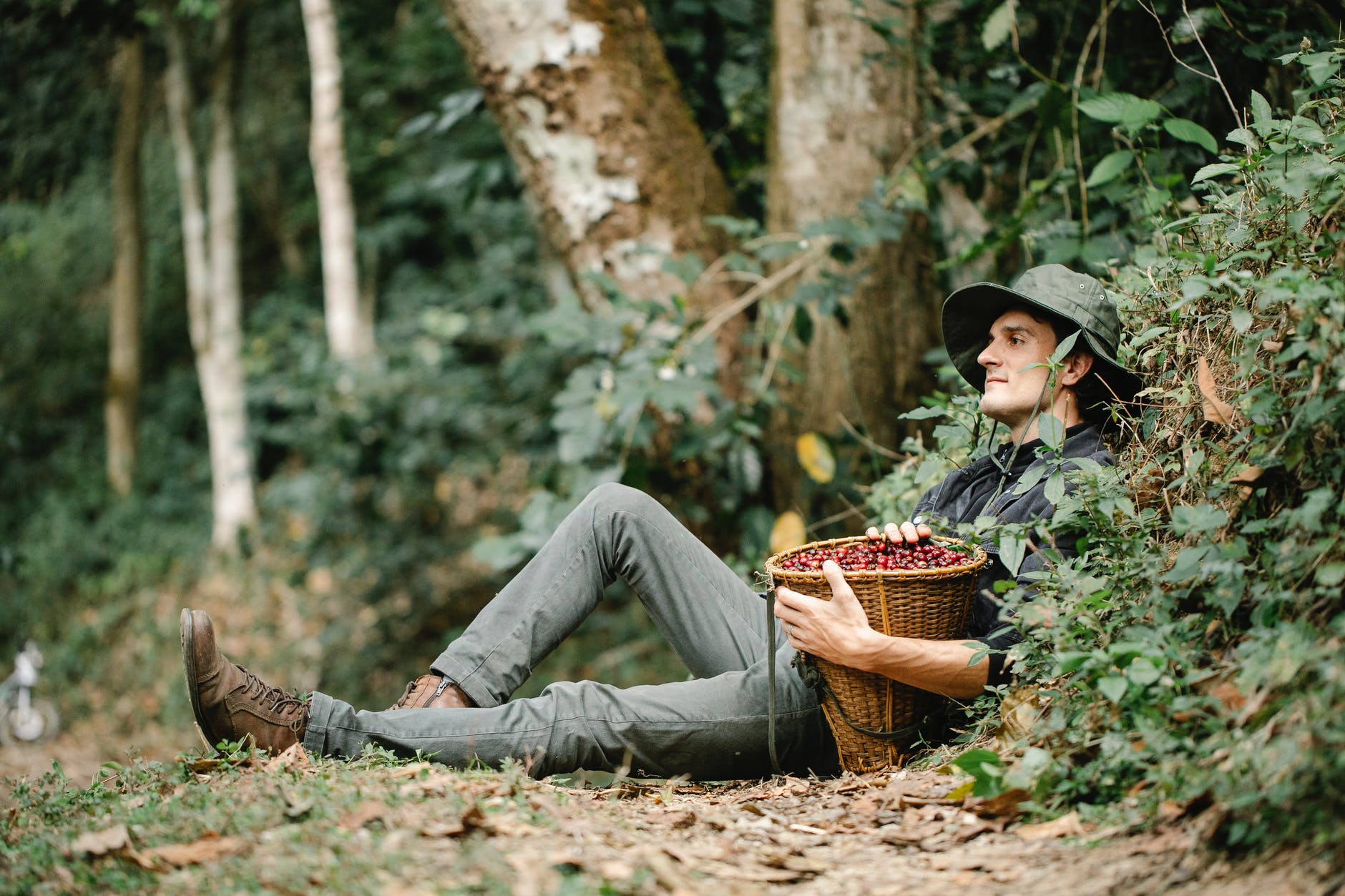 calm man with basket of coffee berries resting in nature