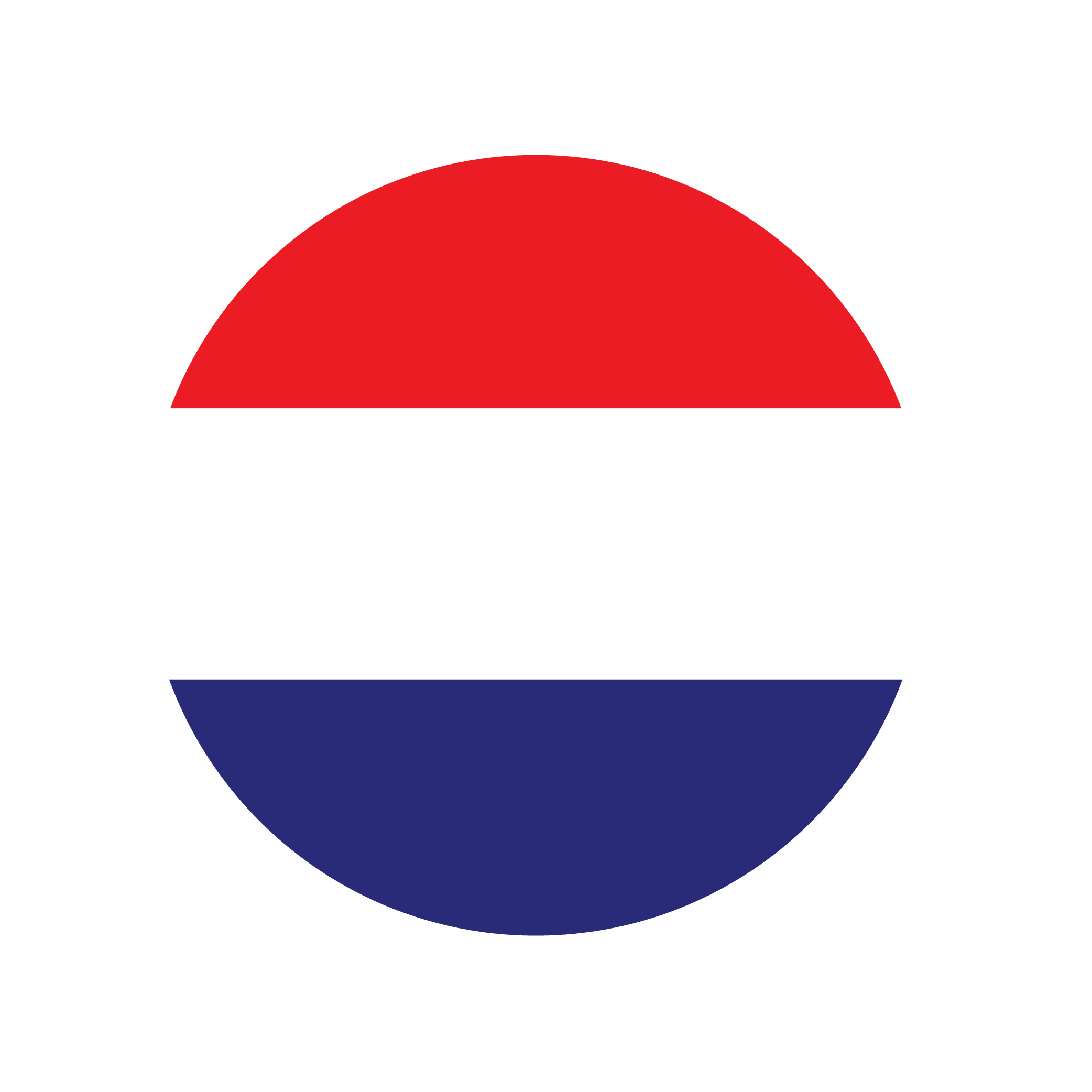language icon
