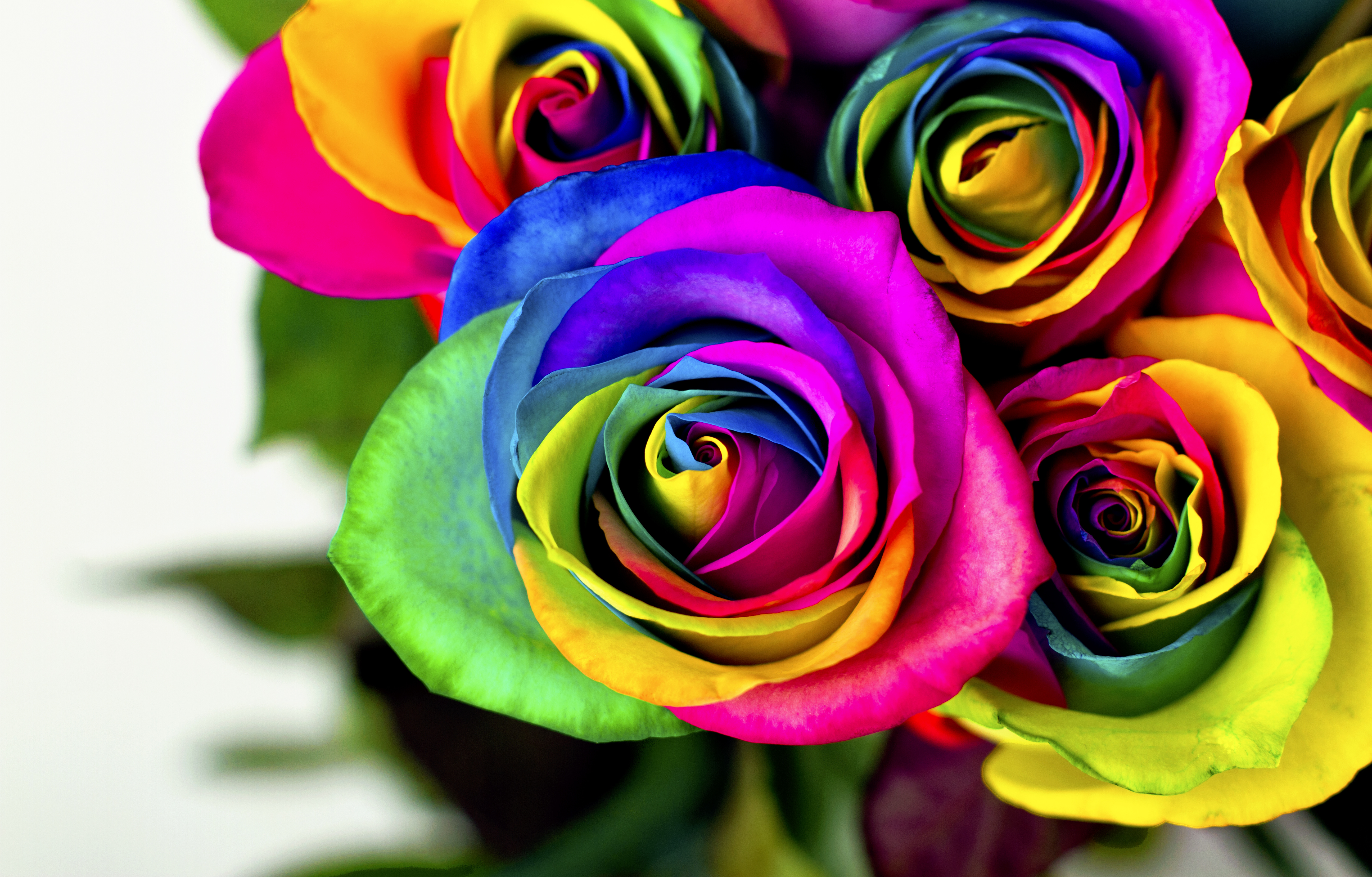 A retrospective look at all the toxic singer's weddings. Florist Discriminated Against Gay Couple, Washington