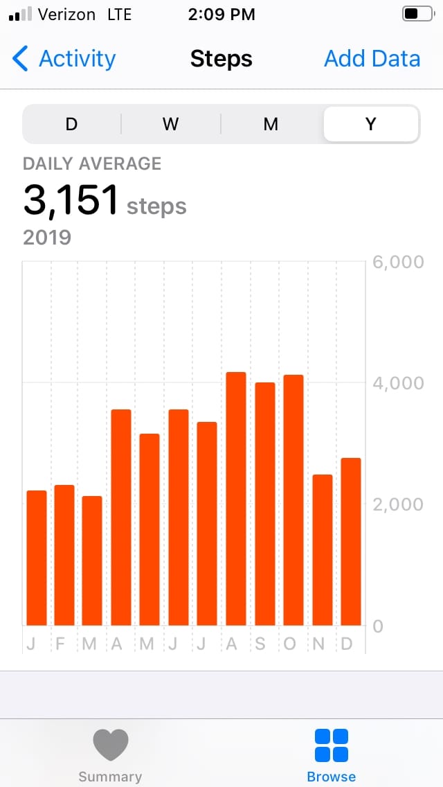 2019 Steps