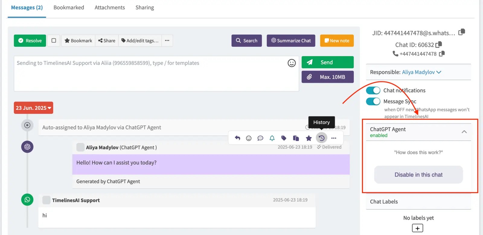 Enable Disable ChatGPT Agent in TimelinesAI