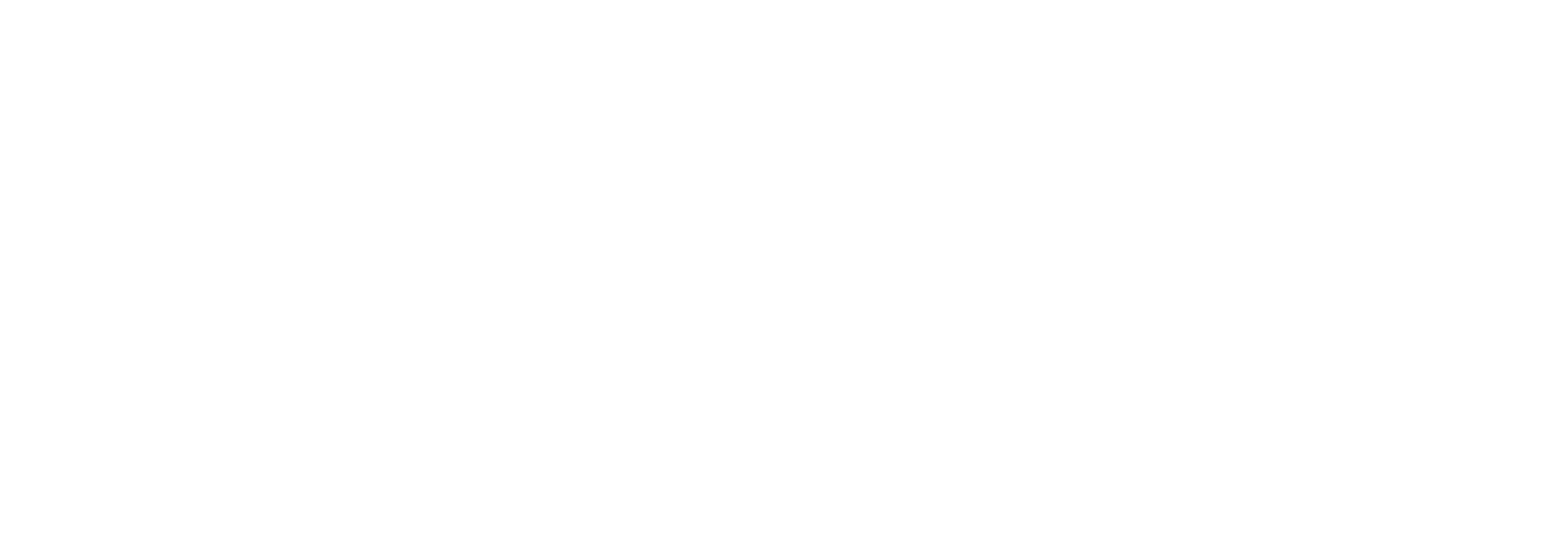 Timepoint Studio Logo