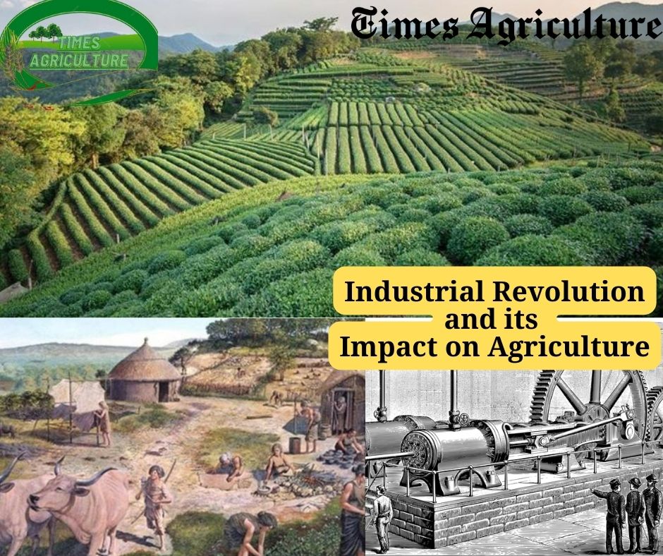 Industrial Revolution Definition: History, Pros, and Cons