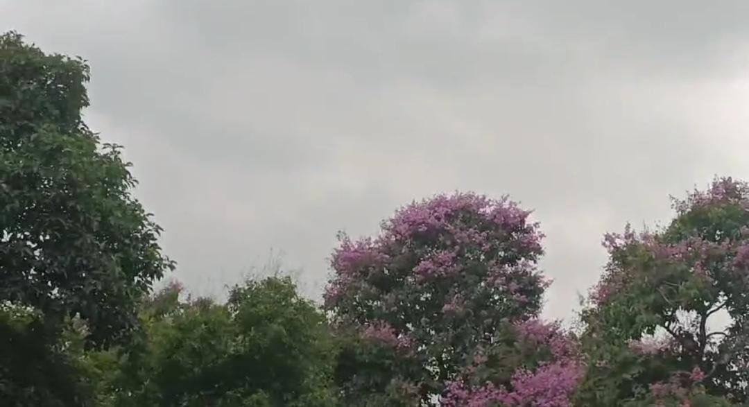 rain-1-1