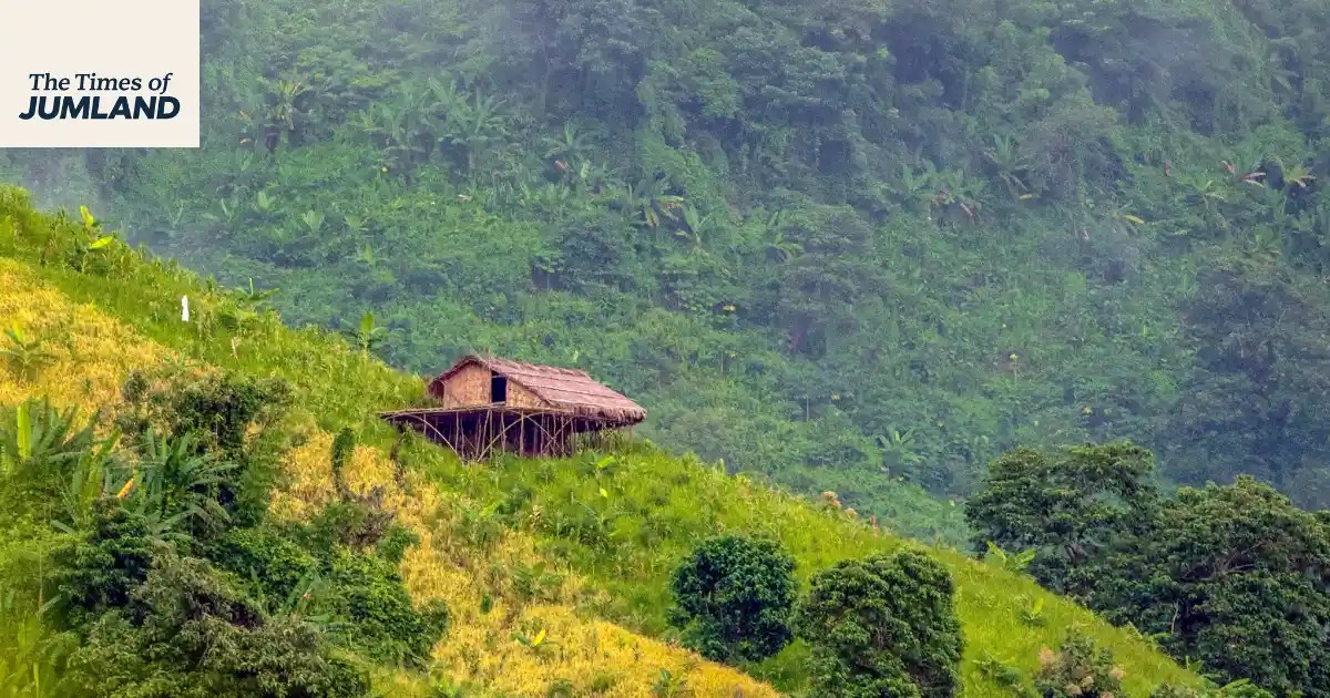 Traditional jhum cultivation land on a hillside in Rangamati, Chittagong Hill Tracts, Bangladesh