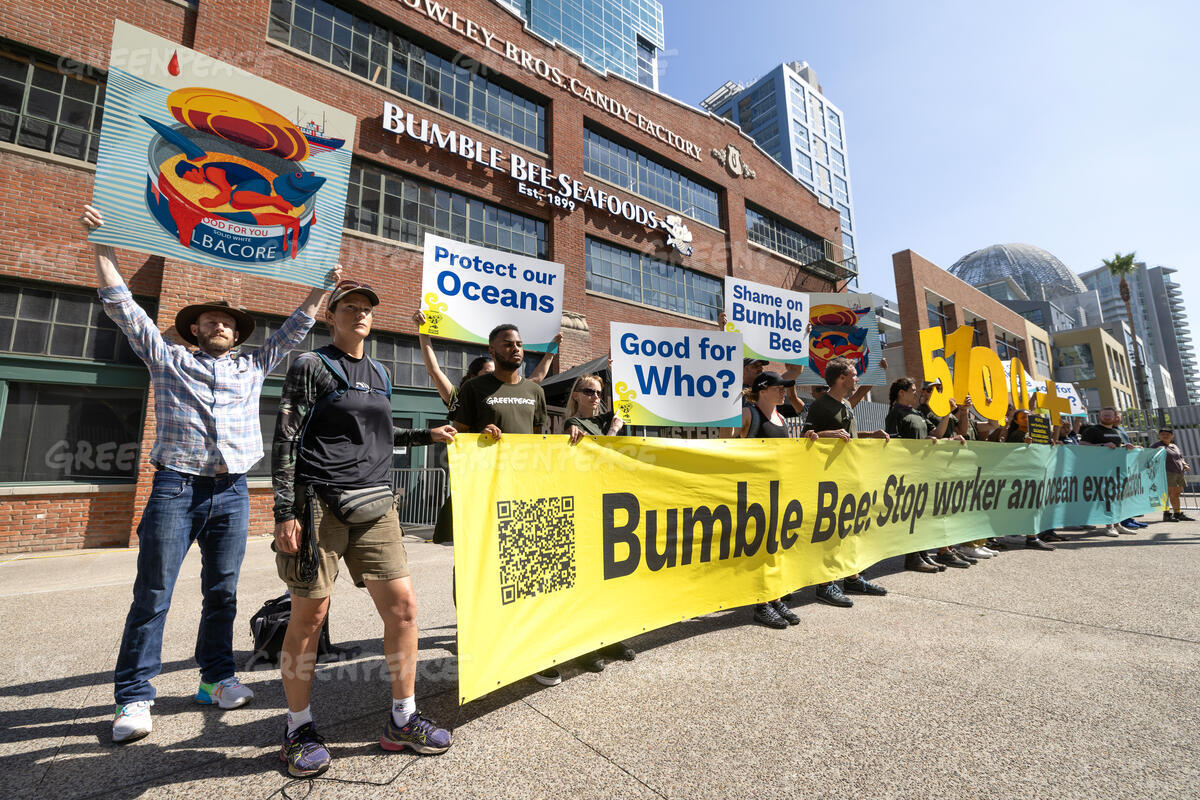 Bumble Bee Seafood Ghosts Greenpeace in Bid to Deliver Signs of 51,000 Signers Bumble Bee Seafood Ghosts Greenpeace in Bid to Deliver Signs of 51,000 Signers