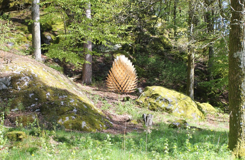 Spring-cotte-5-by-tim-norris