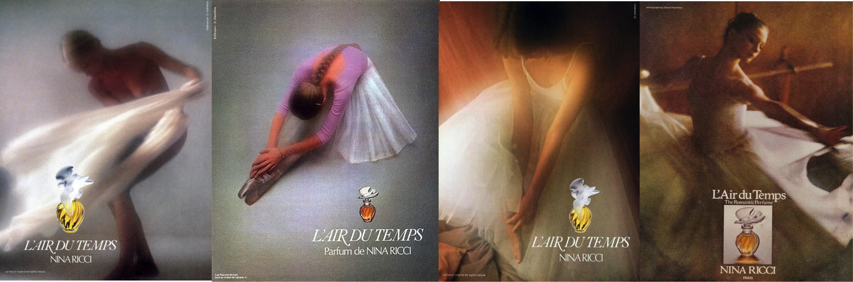 A critique of David Hamilton | Tim Hasletts Blog