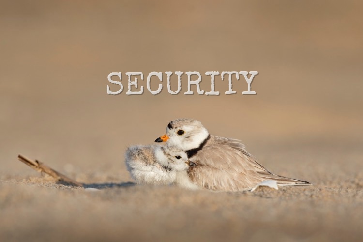 Security