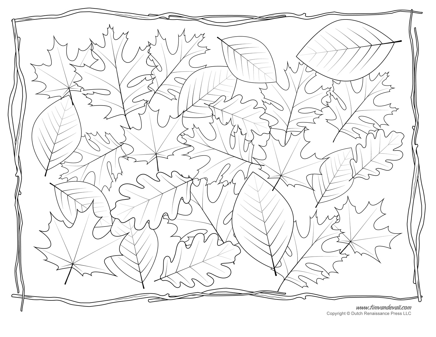 Leaf templates & leaf coloring pages for kids