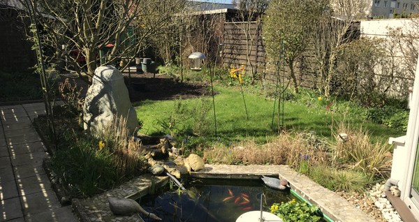 Blick in den Garten im April