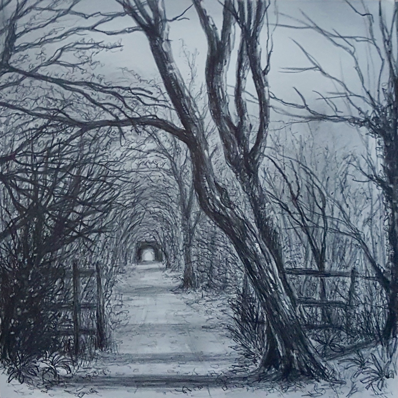 Walking the Strawberry Line