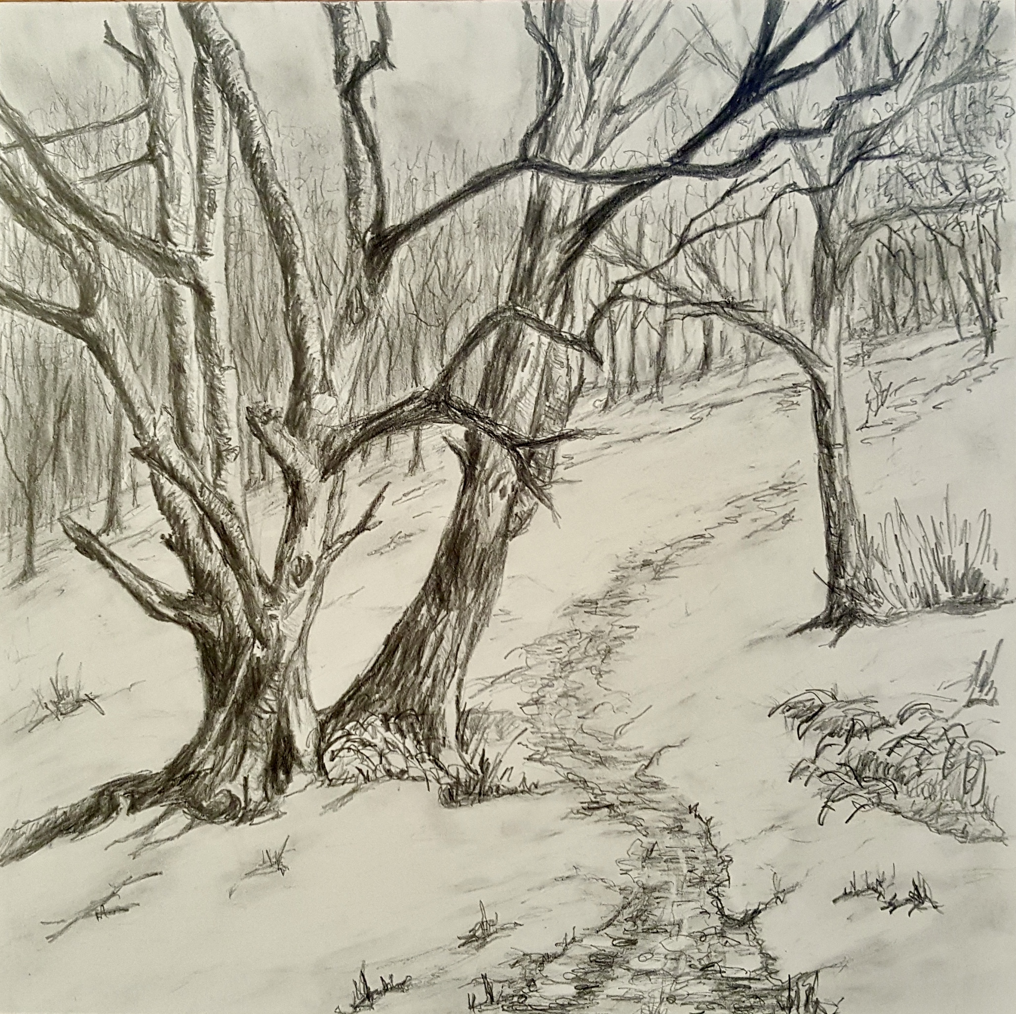 Snow on Mendip IV, Graphite, 8" x 8"