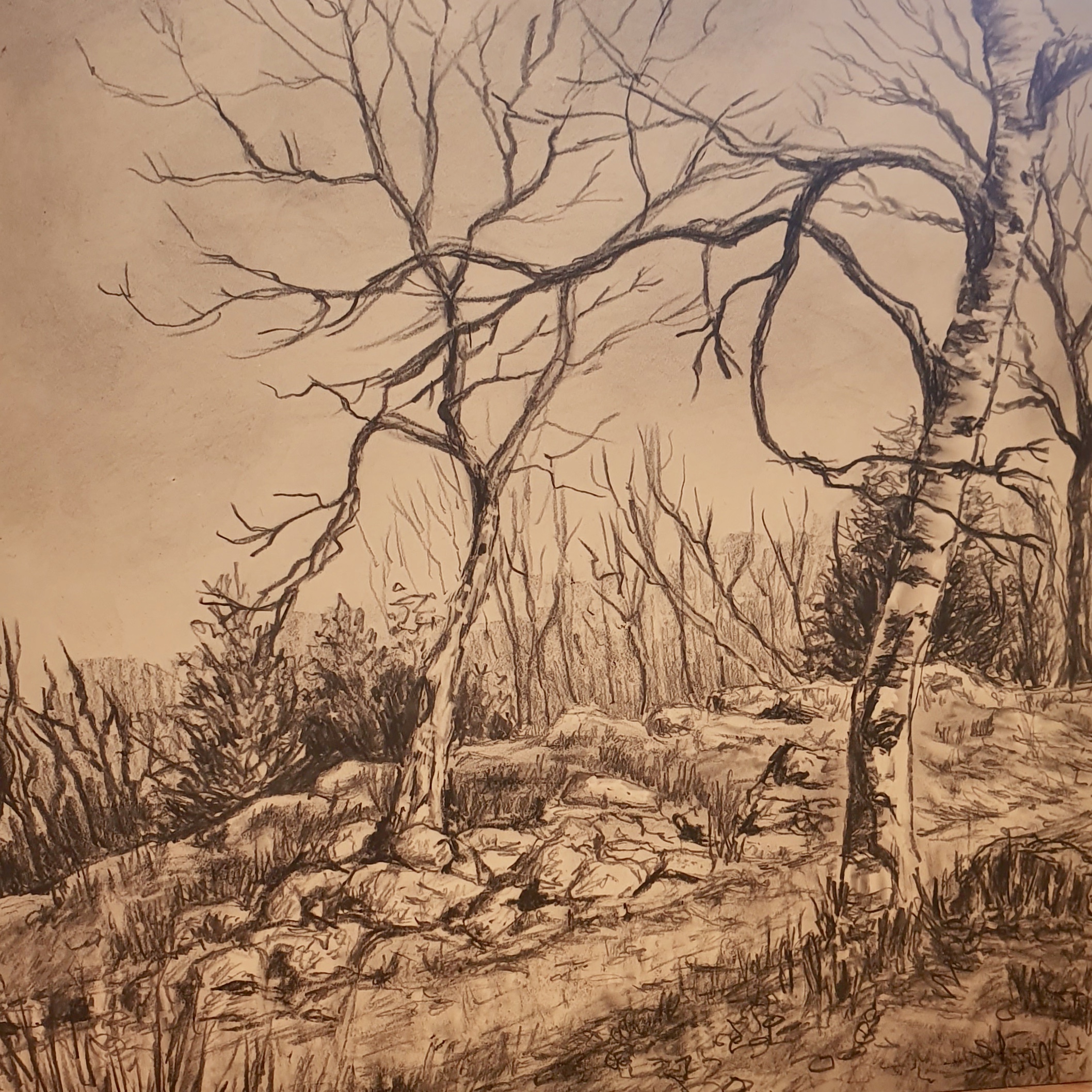 Above the Gorge, Graphite, 8" x 8"