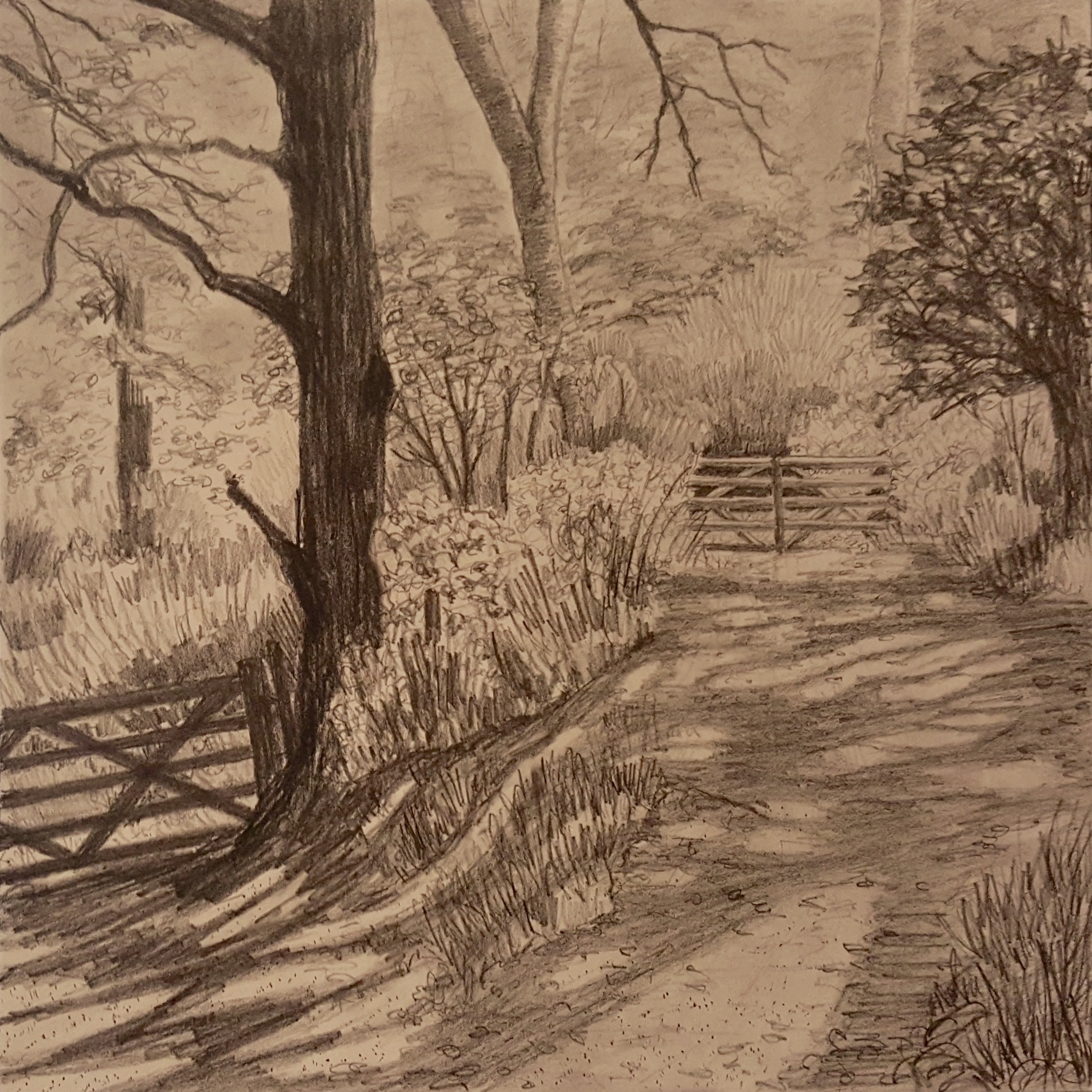 'Walking the old Strawberry Line' Graphite