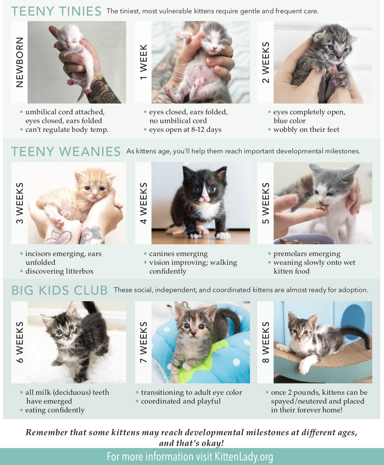 Kitten age chart courtesy of kittenlady.org
