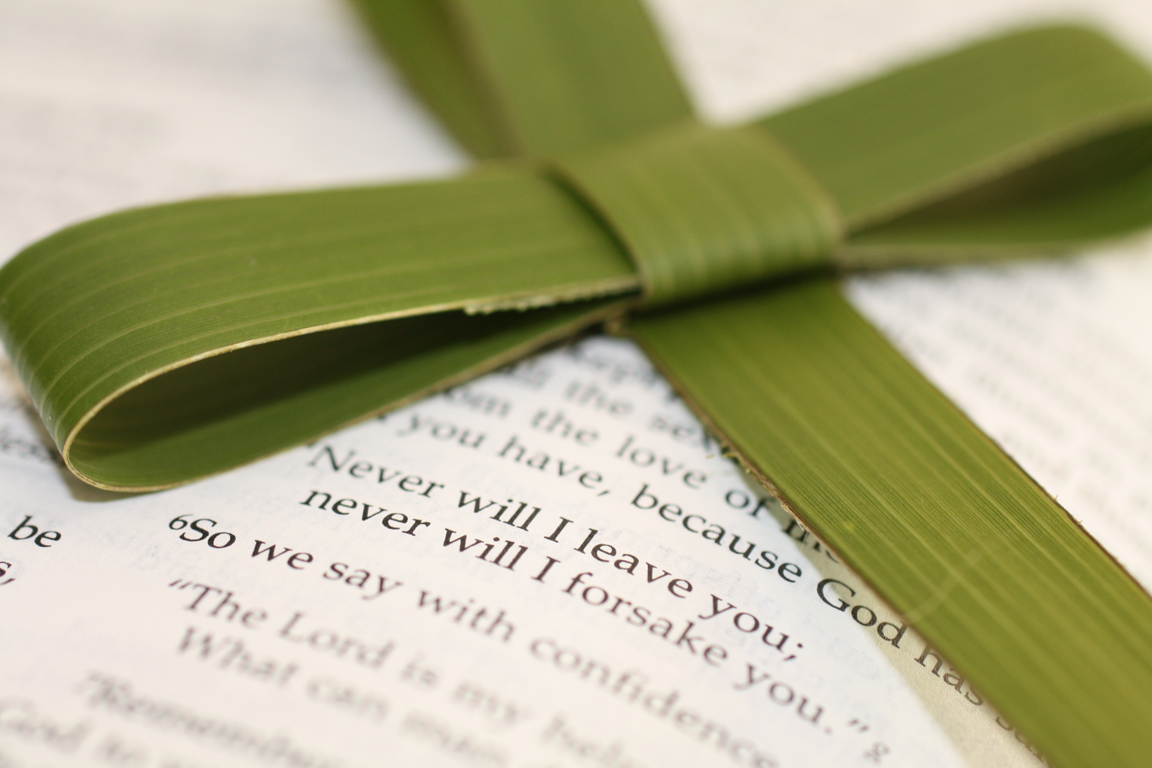 This joyful welcome and declaration is the focus of these palm sunday bible activities for kids. Palm Sunday Tiny Bits Of My Life