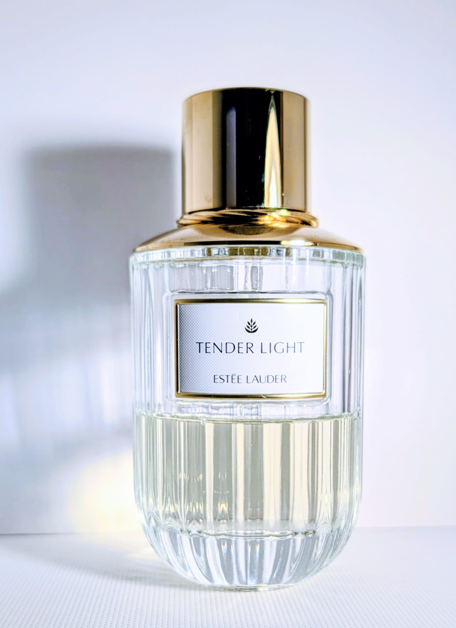 Estée Lauder Tender Light Samples