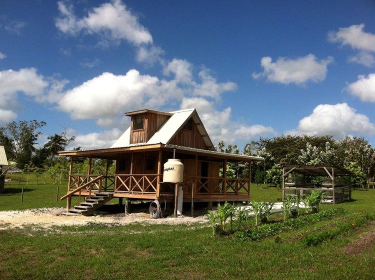 10 tiny houses for sale in florida you can buy now