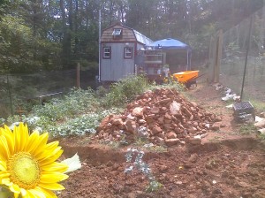 Creating fertile ground