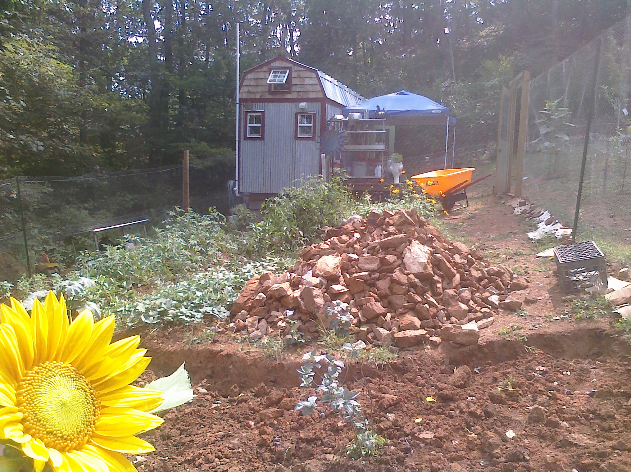 Digging Rocks - Tiny House Family
