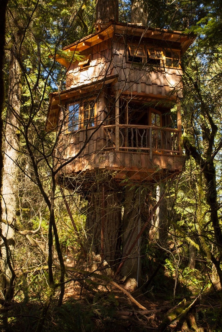 Graphic prints, burnt orange, buttery soft leather… the choice is yours. Burl Treehouse at TreeHouse Point