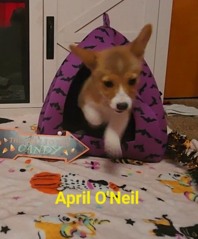 april