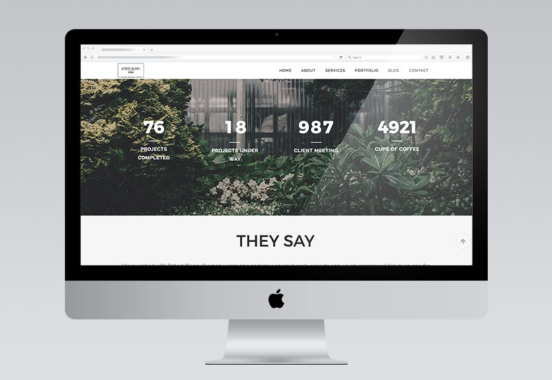 Robert Blaney Website