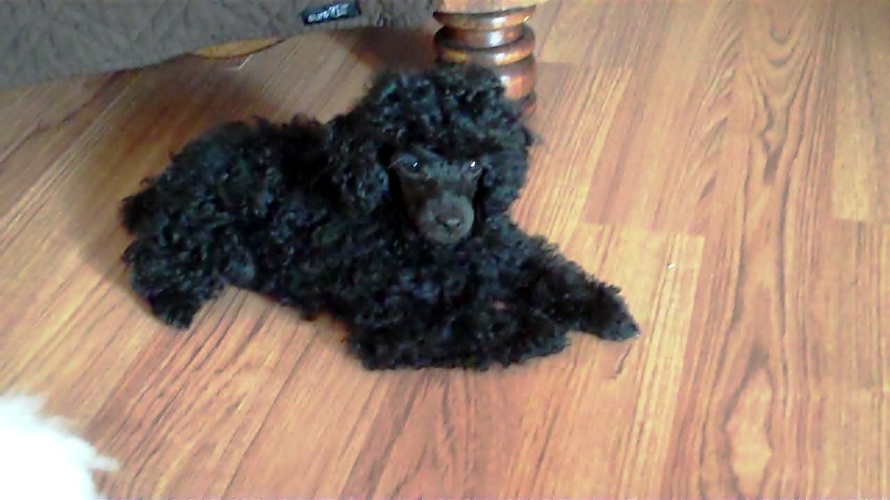 Tom Chase Gay Porn Best Porno 9860 | Hot Sex Picture