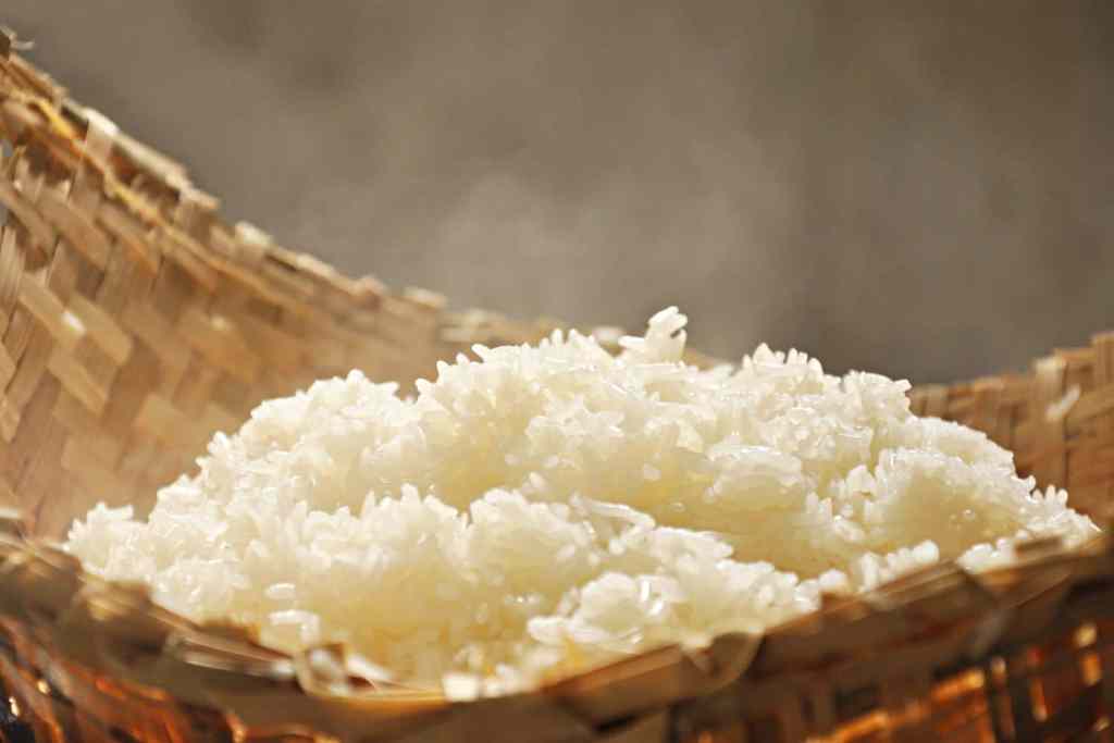 Who Invented Sticky Rice Sticky Rice Dumpling (粽子): Zòng Zi for Dragon Boat Festival