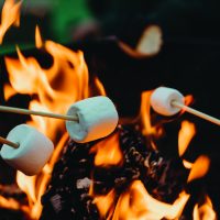 fire pit marsh fire pit marsh