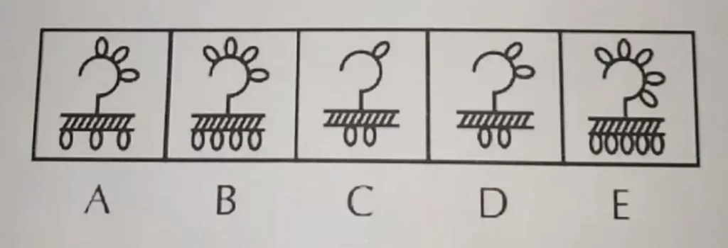 Tahapan Dan Bocoran Soal Tes Magang Bakti Bca 2022 Semoga bermanfaat dan bisa menjadi gambaran untuk mengerjakan soal-soal tesnya yaa. Tahapan Dan Bocoran Soal Tes Magang Bakti Bca 2022 Kebetulan saya masih kerja di sebuah perusahaan saya bela-belain bolos untuk menghadiri psikotes ini.
