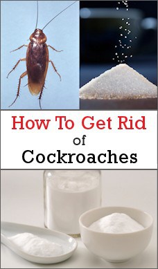 diy bait-balls for getting rid of cockroaches more help on boric acid se cockroach killer recipe