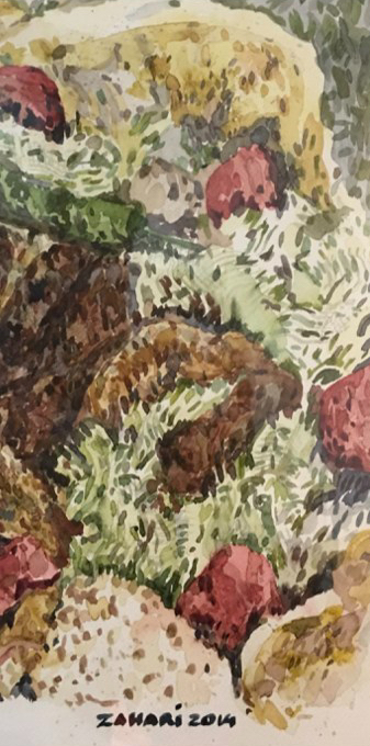 Zahari Hamidon, "Kebab", 2014, Watercolor, Private Collection