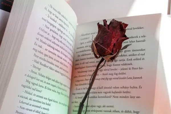 Essência Feminina Onírica na Construção de Heroínas