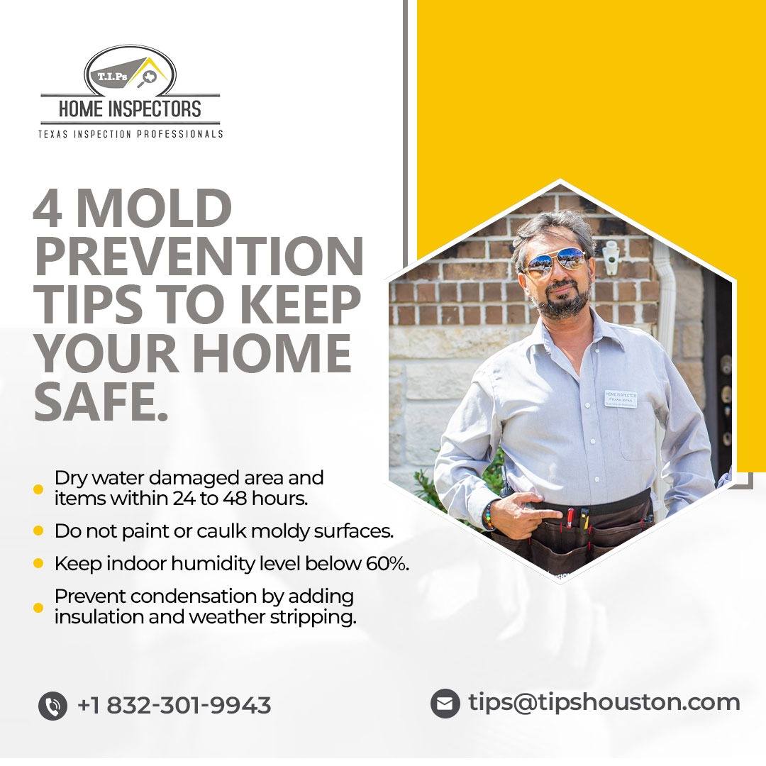 4 Mold Prevention Tips To Keep Your Home Safe Texas Inspection Professionals