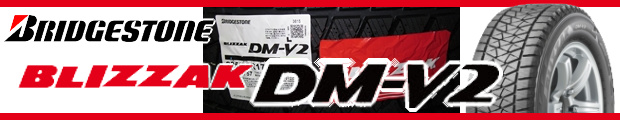 型落ち】BLIZZAK DM-V2 | TireNavigator