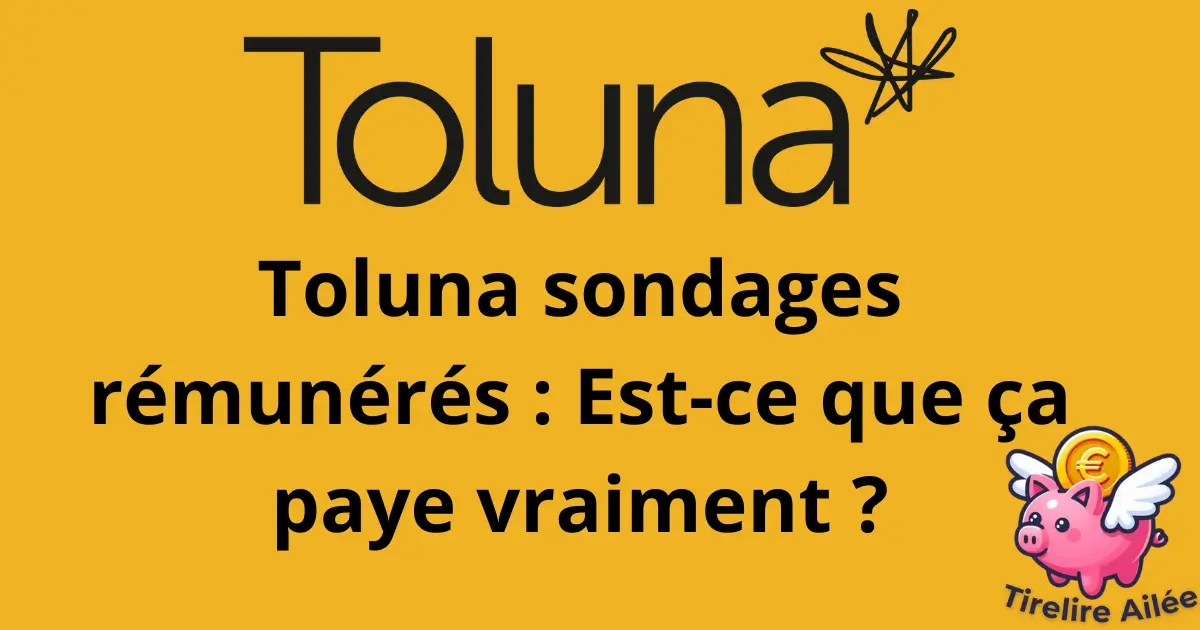 Toluna sondages rémunérés : combien peut-on gagner ?