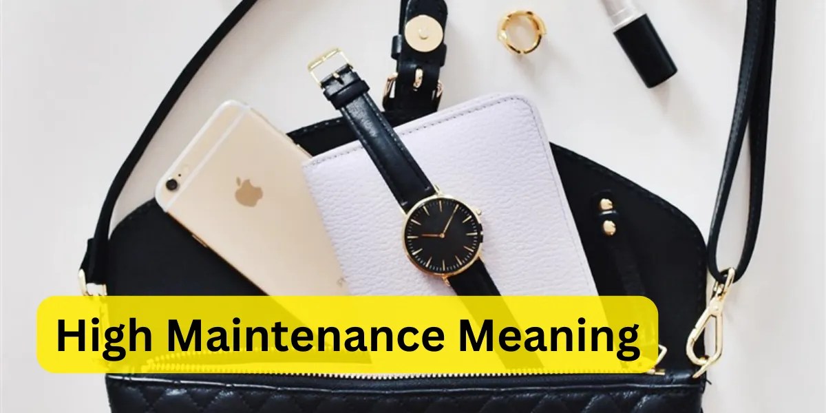 High maintenance meaning