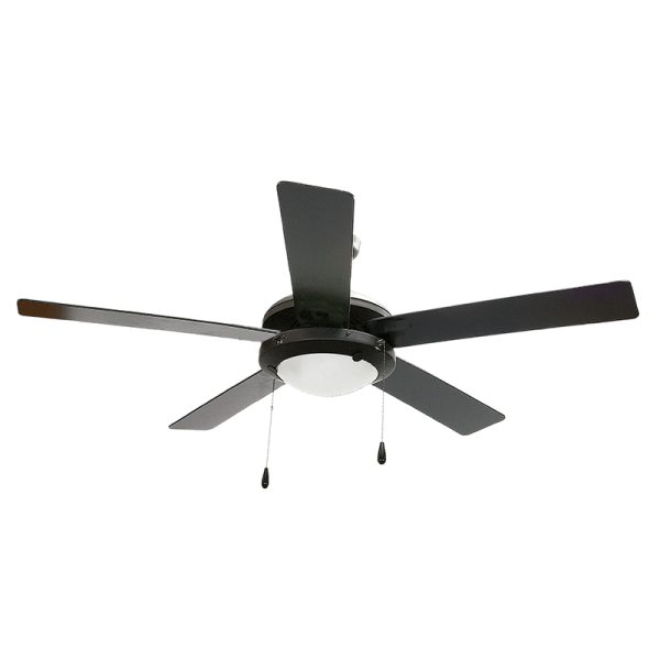 Ceiling Fans