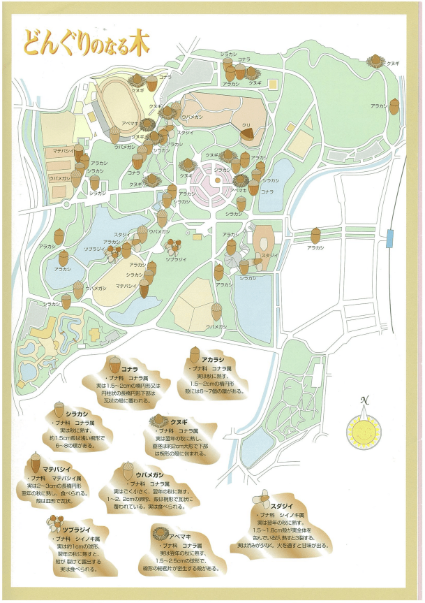どんぐりマップ