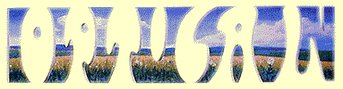btimage7.gif