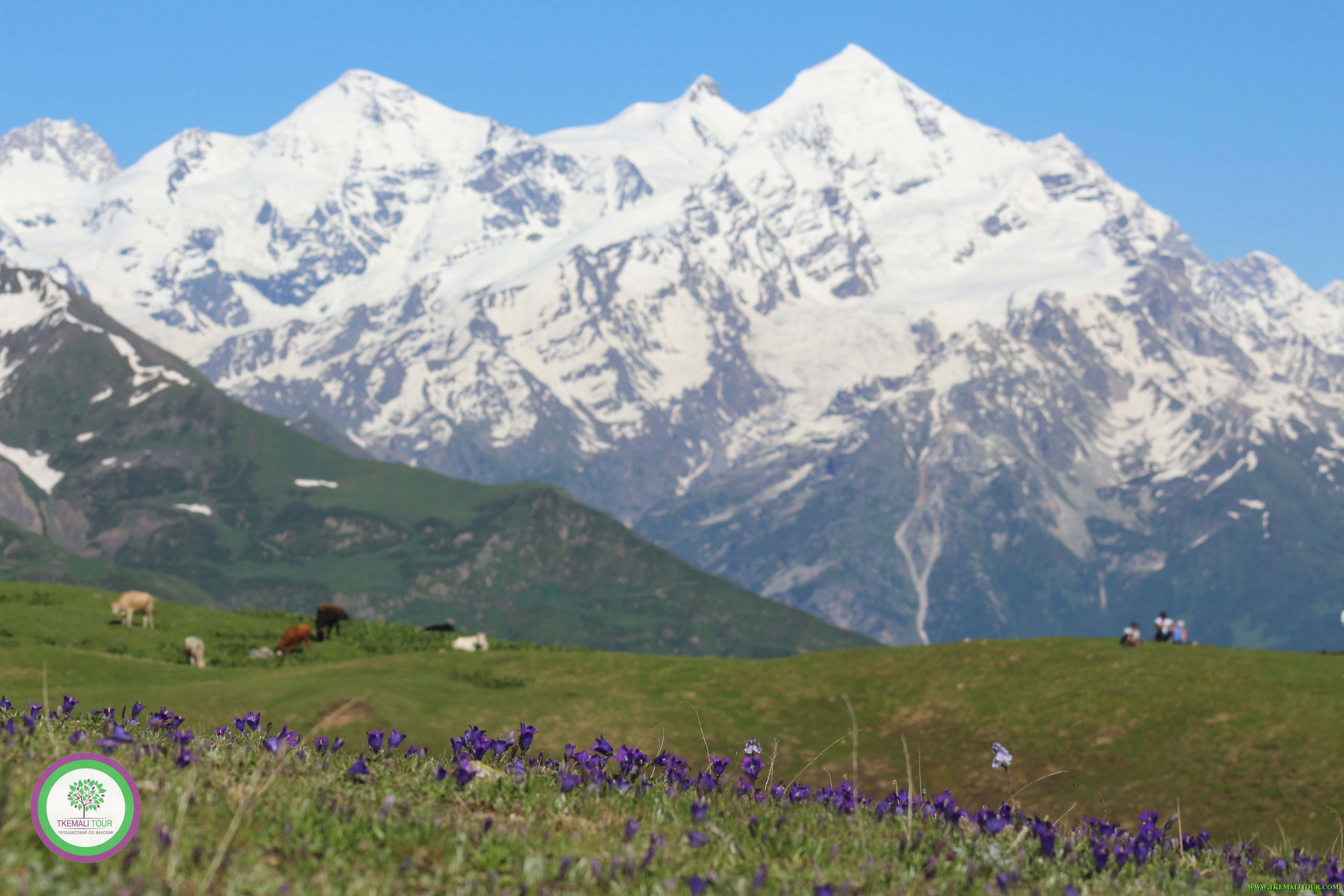 Встреча в батуми и отправляемся в горы сванетии (перевал 220 км) в центральный город местиа. Svanetiya